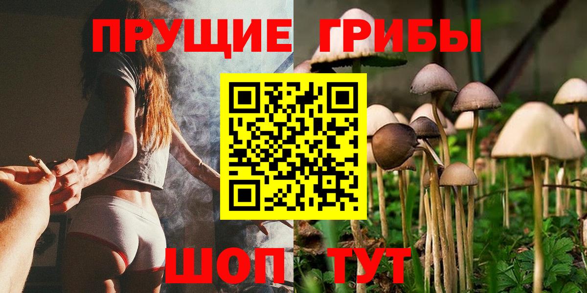 Галлюциногенные грибы мицелий  Вход с VPN  Алексеевка  Галлюциногенные грибы прущие грибы 