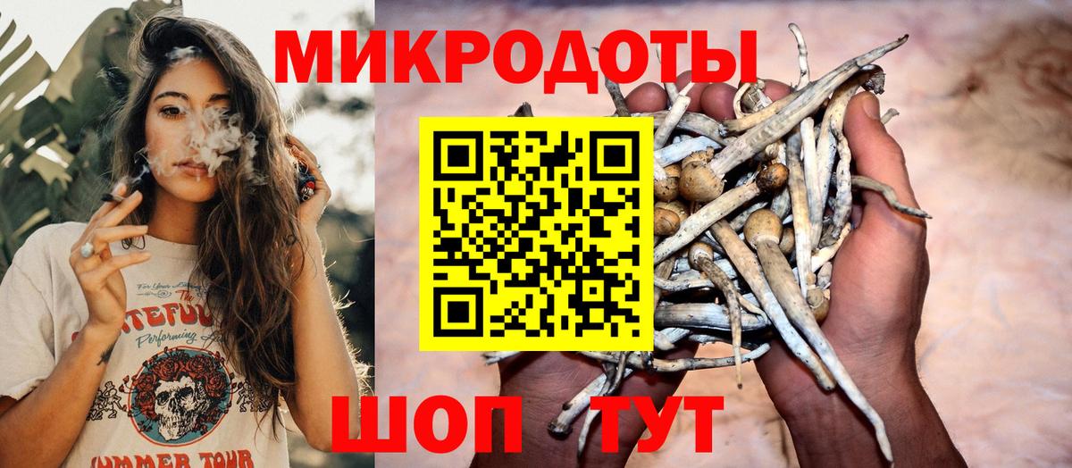 Галлюциногенные грибы MAGIC MUSHROOMS Алексеевка